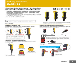 A4EG-OP2.pdf