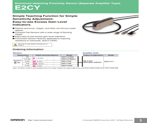 E2CY-T11.pdf