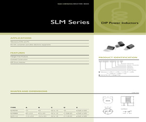 LBBM020100X6-V0E.pdf