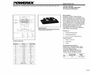 RM20TPM-2H.pdf