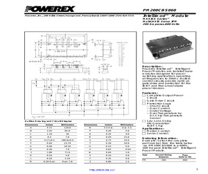 PM200CBS060.pdf