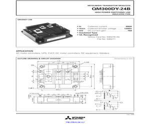 QM300DY-24.pdf