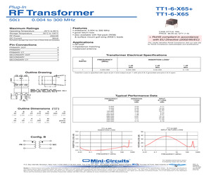 TT1-6-X65.pdf