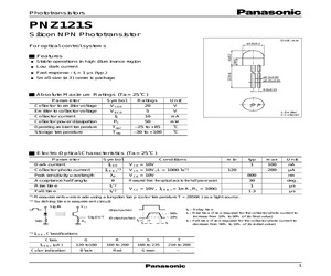 PNZ121S0S.pdf