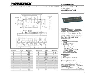 PM50RLB060.pdf