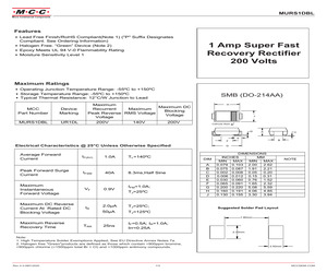 MURS1DBL-TP.pdf