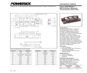 CM100DU-24NFH.pdf