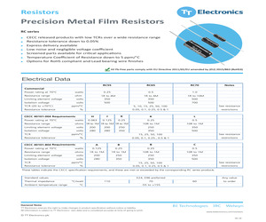 RC55Y100KBI.pdf