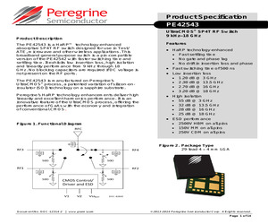 PE42543A-X.pdf