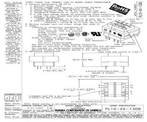 PL10-10.pdf