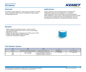 FGH0H105ZF.pdf