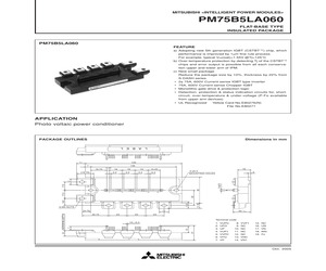 PM75B5LA060.pdf