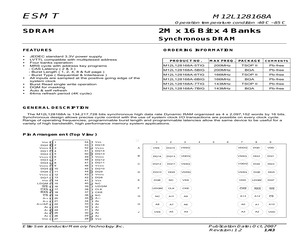 M12L128168A-5TIG.pdf