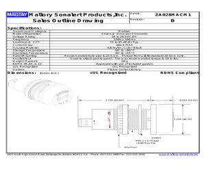 ZA028MACM1.pdf