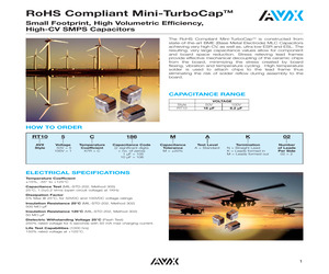 RT101C825MAN02.pdf