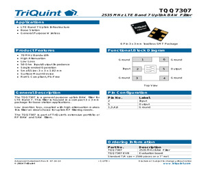 TQQ7307.pdf