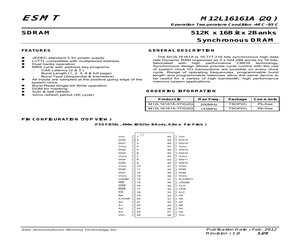 M12L16161A-5TIG2Q.pdf