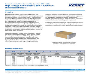 RPS-D100RFBG1+.pdf