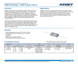 PEG124EF4100QL1.pdf