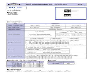 16WXA10000MEFC18X25.pdf