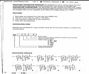 MG100G2YL1.pdf