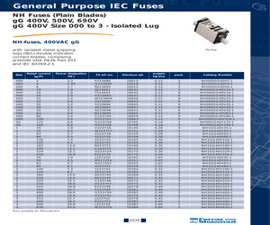 NH2GG40V100-1.pdf