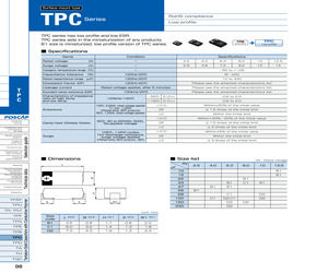 10TPC100M.pdf