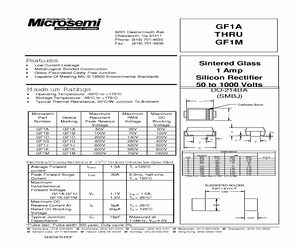 GF1M.pdf