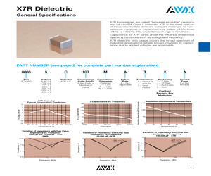 12101C102JAJ2A.pdf