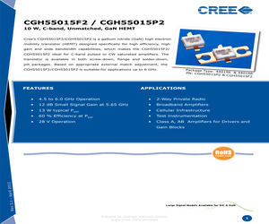 CGH55015P2.pdf