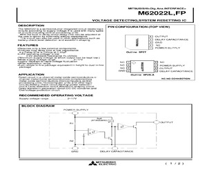 M62022L.pdf