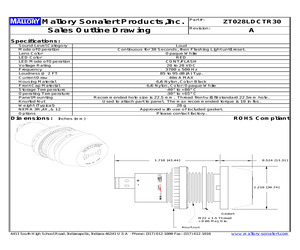 ZT028LDCTR30.pdf