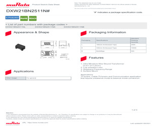 DXW21BN2511NL.pdf