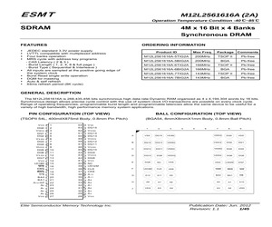 M12L2561616A-6TIG2A.pdf