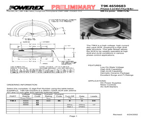 T9K4620603DH.pdf