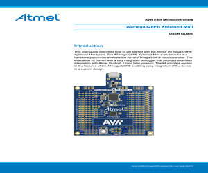 ATATMEL-ICE-CABLE.pdf