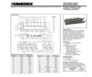 PM75B6LB060.pdf