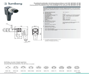 WSV81.pdf