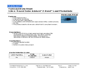 PD95-21B/TR10.pdf