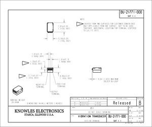 BU-21771-000.pdf